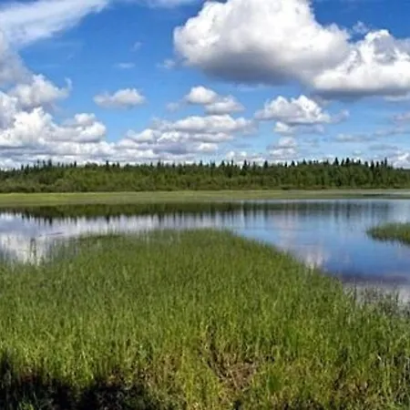 Kelosix Feriehus Vuostimo